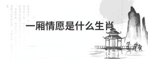 背景图 (45).jpg