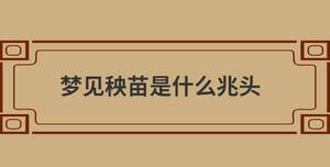 自创 (67).jpg