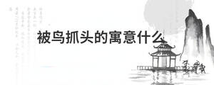 背景图 (50).jpg