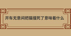 自创 (66).jpg