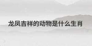 简单 (64).jpg