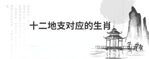 背景图 (55).jpg