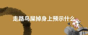 /nameask/29146.html