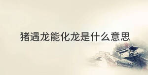 /nameask/29198.html