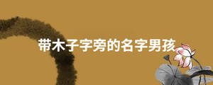 起名 (79).jpg