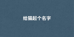 /nameask/29358.html