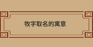 自创 (78).jpg
