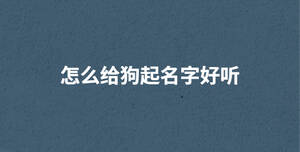 /nameask/29560.html