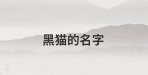 /nameask/29594.html