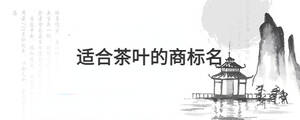 背景图 - 2022-07-22T154022.981.jpg