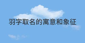 /nameask/29647.html