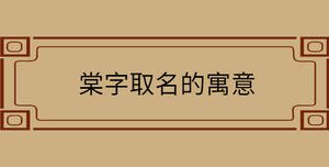 /nameask/29643.html