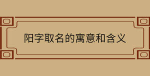 自创 - 2022-08-15T115322.350.jpg