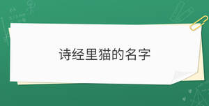 /nameask/30122.html