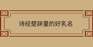 诗经楚辞里的好乳名