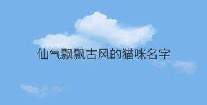 /nameask/30393.html