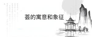 /nameask/30397.html