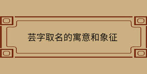 /nameask/30493.html