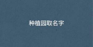 /nameask/30542.html