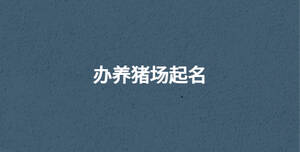 /nameask/30609.html