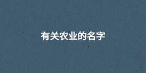 /nameask/30632.html