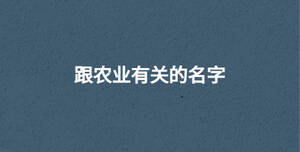 /nameask/30636.html