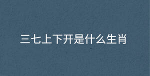 /nameask/30713.html