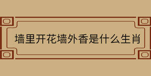 /nameask/30783.html