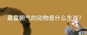 /nameask/30826.html