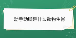 动手动脚是什么动物生肖