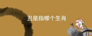 /nameask/31013.html