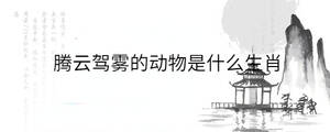 背景图 - 2022-10-19T101659.428.jpg
