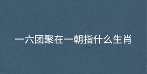 一六团聚在一朝指什么生肖