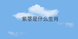 /nameask/31231.html
