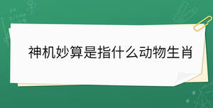开学季 - 2022-10-26T131306.374.jpg
