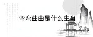 背景图 - 2022-10-28T162958.096.jpg