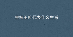 /nameask/31419.html