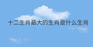 /nameask/31430.html