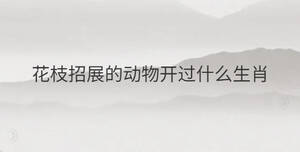 /nameask/31500.html