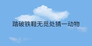 /nameask/31507.html