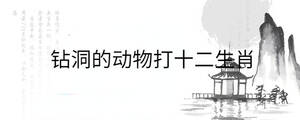 /nameask/31546.html