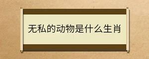/nameask/31572.html