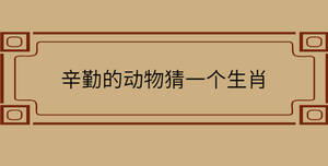/nameask/31616.html