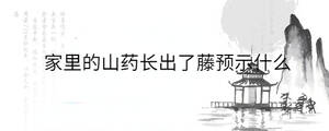 /nameask/31640.html