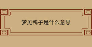 /nameask/31681.html
