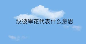 简约蓝色背景 - 2022-11-09T094240.723.jpg