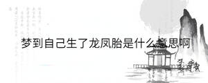 背景图 - 2022-11-12T155241.848.jpg
