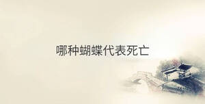 传统 - 2022-11-12T095423.396.jpg