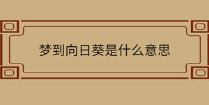 自创 - 2022-11-12T103536.139.jpg