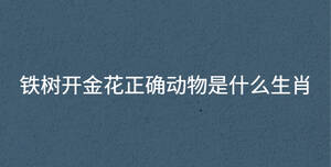 深色背景 - 2022-11-14T161845.905.jpg